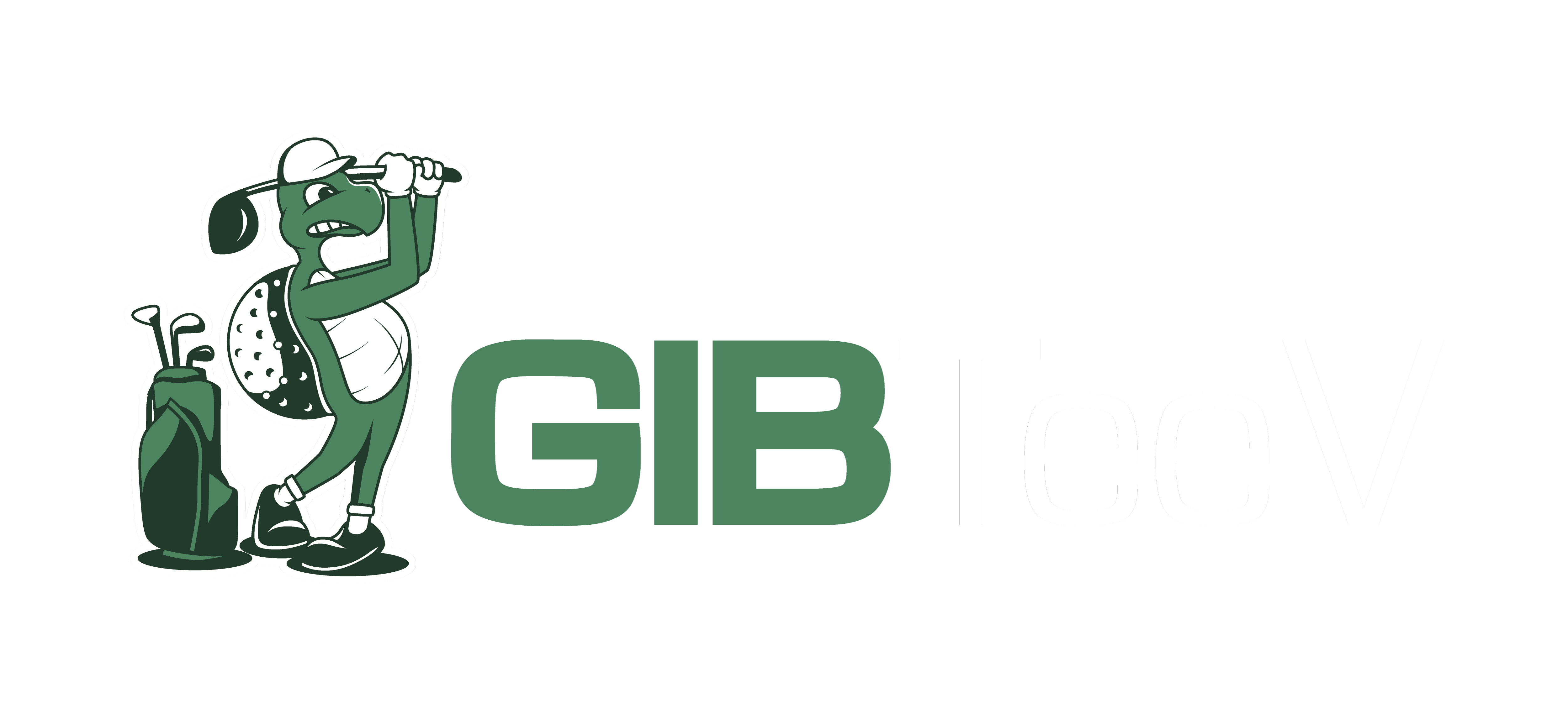 About GIBTeeV